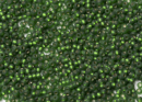 Бисер Чехия круглый 10/0 50г 57120 зелёный матовый